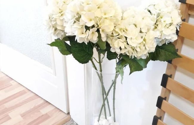 Studio Old Center - Foto 18