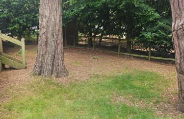 Fawn Lodge, Kelling Heath - Woodland Setting and Pets Welcome - Photo 40