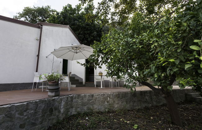 Agricontura - Foto 51