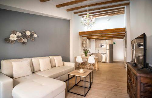 Apartamentos Terraza Ega - Foto 1