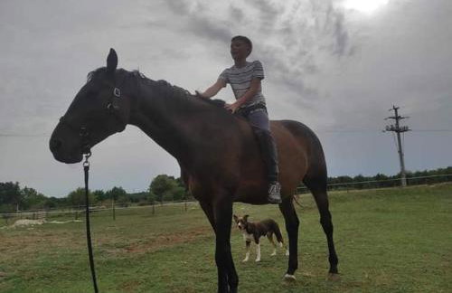 Golden Valley apartment & ranch - Foto 26