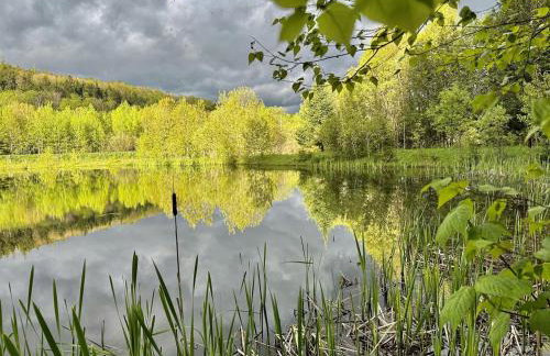 Cozy Off-Grid Cabin with Breathtaking Serene Views for a Peaceful Getaway Surrounded by Nature in Barton, Vermont - Foto 10