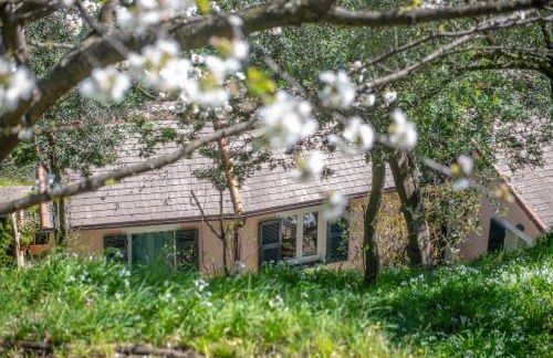 Agriturismo Villa Caterina - Foto 23