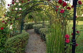 Agriturismo Argaland - Photo 19