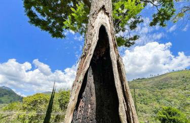 Casa Mirante do Prata no Vale das Videiras - Foto 22