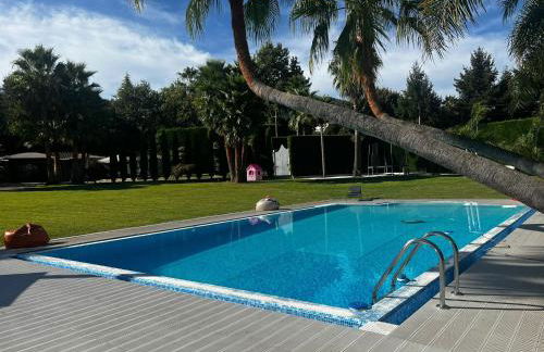 Quinta Das Palmeiras - Photo 19