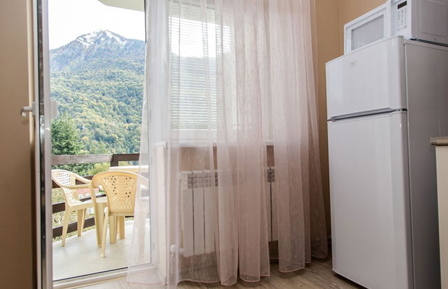 Zima Leto Apart Hotel - Photo 46