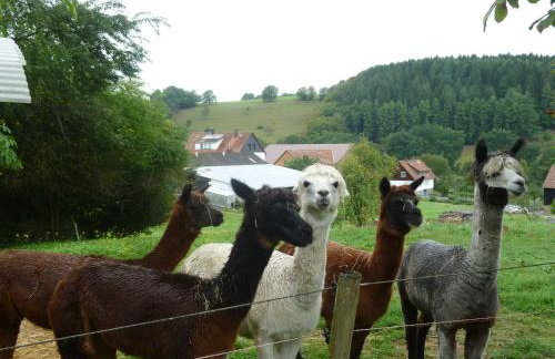 Ferienwohnungen Hof Heiderich - Foto 11