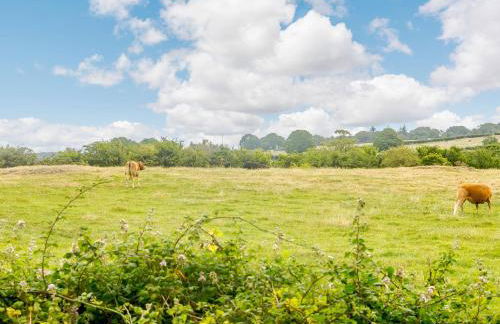 3 Black Horse Cottages - Foto 28