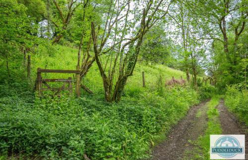 Puddleduck Valley - Dog Friendly - Foto 74