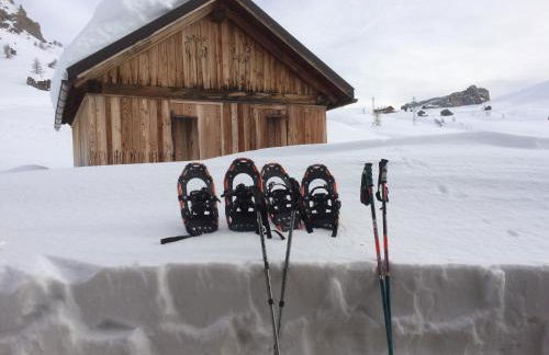 Cesa Fossal - Foto 48