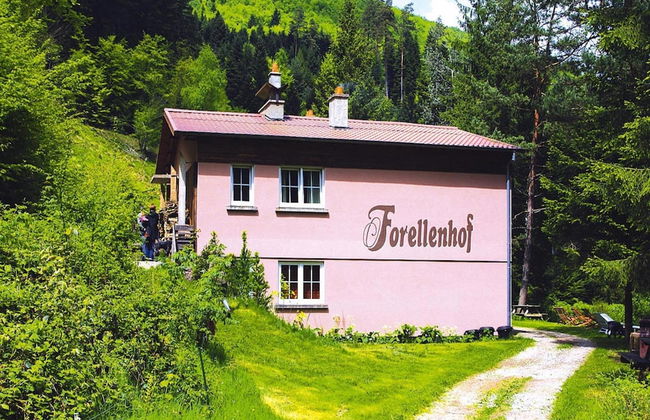 Apartment in Alsace With Nature Retreat - Foto 18