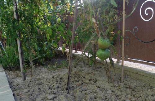 Villa Eden - Foto 36