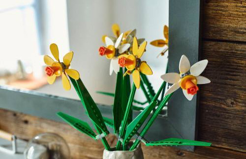 Dębinówka - Foto 24