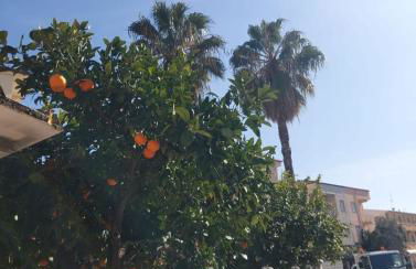 CalabriAmore Appartamento - Foto 13