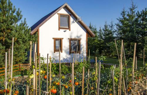 Mały Kaletnik - Foto 6