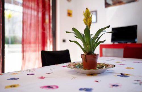 Bussana Mare - Foto 6