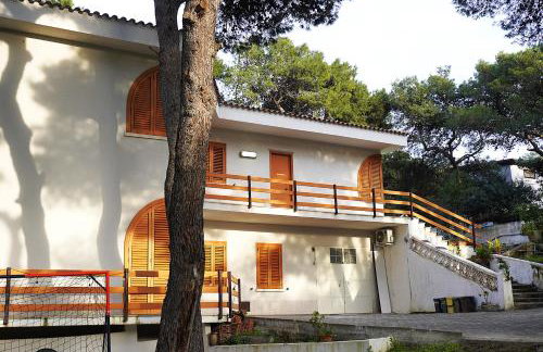 Villa Ofelia - Casa Vacanze in Puglia - Photo 32