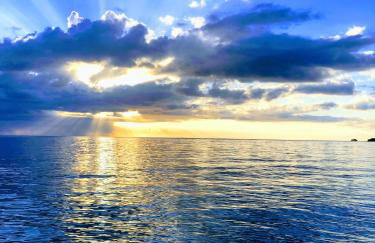 Madeira Beach Condo - Foto 46