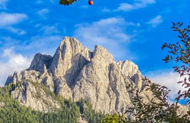 Cesa Bernard - Apartment Cima 12 e new Apartment Fraine - Foto 48