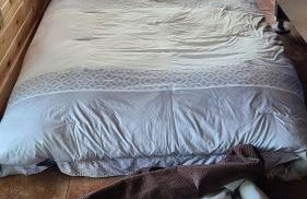 Loza house adirondack screened-in porch unit lake front - Foto 19