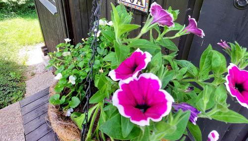 Geographer`s Cottage II - Foto 3