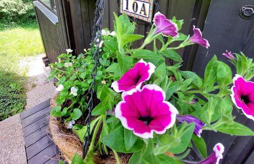 Geographer`s Cottage II - Foto 3