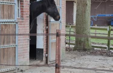 Ferienwohnung Noltenius - Foto 20