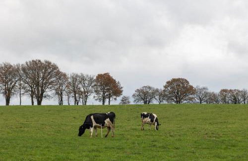 Casa A Curiscada - Foto 3
