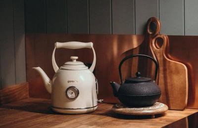 Mech i brzoza - Foto 18