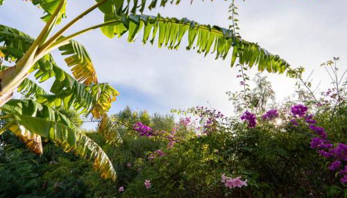 Sotogrande Spacious Duplex with garden - Foto 4, Garden