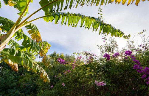 Sotogrande Spacious Duplex with garden - Foto 4