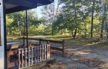 Kleine Freiheit Nummer 2 - Foto 10