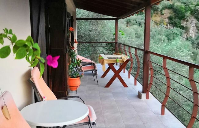 Luxury Mansion in Pelion Hills - Foto 14