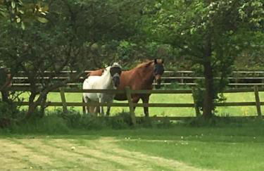 Little Banks Barn - Foto 33