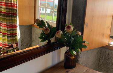 Casa do Plátano - Photo 28