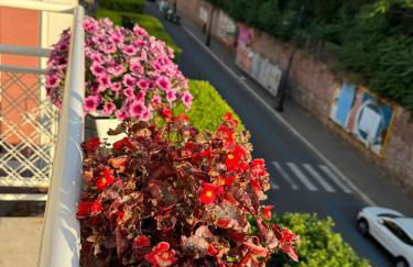 HOUSE on sunday LUNA - Photo 19