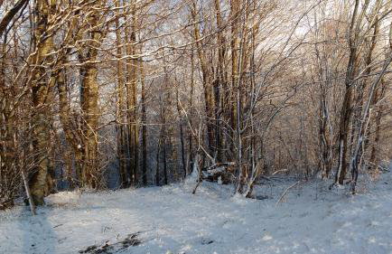 Apartament w Bieszczadach - Photo 66