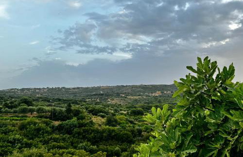 Villa Anthea - Foto 35