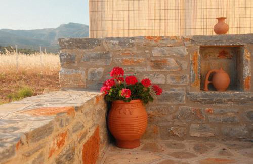 Mitatos "Matthew" - Foto 35