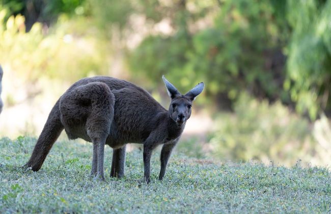 Noble River Estate - Photo 57