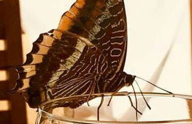 Casa La Luna Cambrils - Foto 29