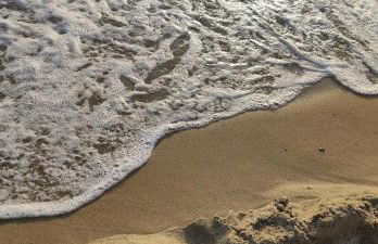 Mare e Coccole - Foto 47