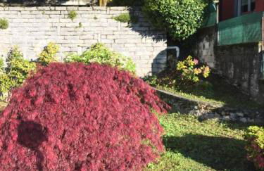 Villa Assunta - Foto 4