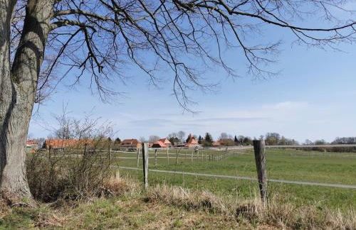 Ostseeseele - Foto 26