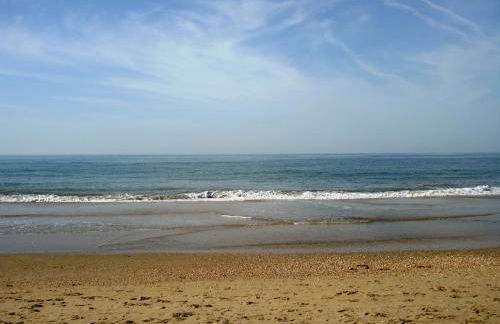 Islantur Ipanema - Photo 19