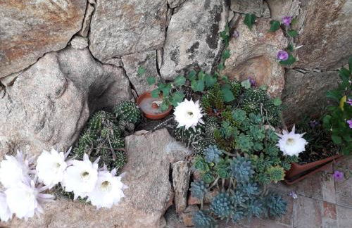 exclusive house - Foto 47