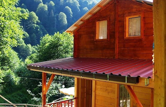 Ayder Bulut Dag Evi - Photo 18