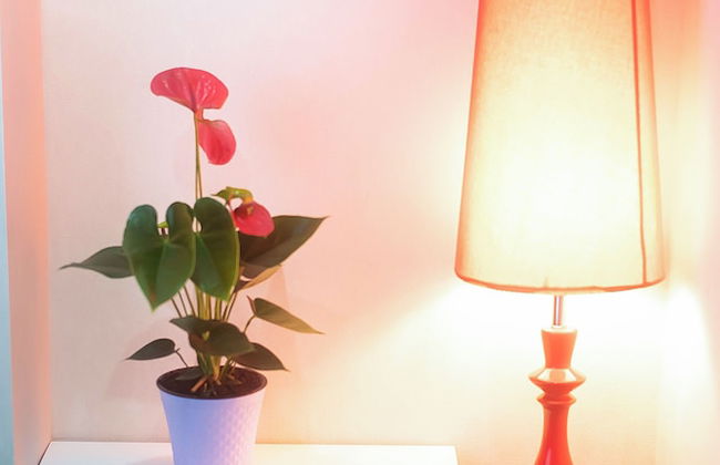 H&B apartments Akhmeta - Foto 24