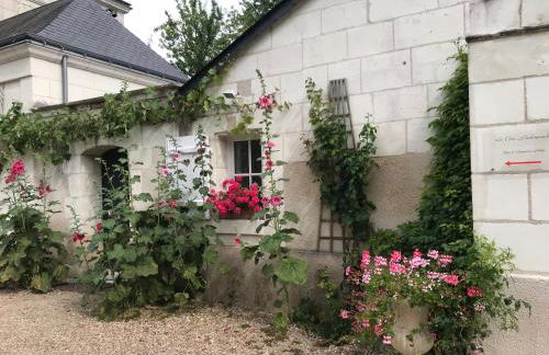 LA PETITE COUR - Photo 6